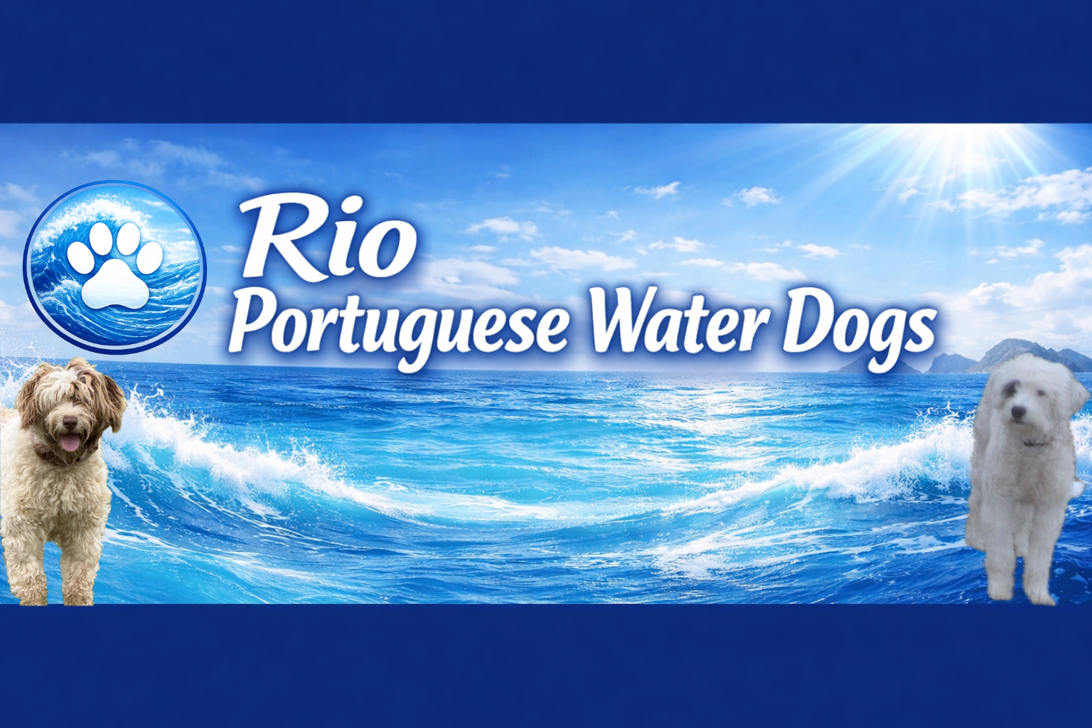 Rio Portuguese Water Dogs banner